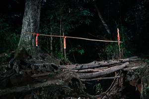 BIB: 
                            <button type="button" onclick="openModal(27327045)" class="btn btn-primary btn-sm float-right btn-popup" data-toggle="modal" data-target=".modal-high-quality">
                        <i class="fas fa-shopping-cart"></i> Add to Cart
                    </button>
                                            <button type="button" onclick="isThisMe(27327045, true)" class="btn btn-success btn-sm float-right btn-popup btn-isme hidden" data-toggle="tooltip" data-placement="bottom" title="นี่คือรูปของคุณใช่ไหม คลิกที่นี่เพื่อเอาเข้าอัลบั้ม">
                        <i class="fas fa-plus"></i> Add to album
                    </button>
                    <button type="button" onclick="isThisMe(27327045, false)" class="btn btn-warning btn-sm float-right btn-popup btn-isnotme hidden">
                        <i class="fas fa-ban"></i> Remove from album
                    </button>